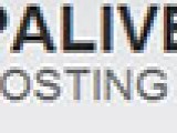 Keep Alive Hosting – 10G容量可绑米支持PHP、CGI免费空间