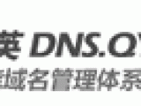 群英网络 – 智能免费DNS解析服务